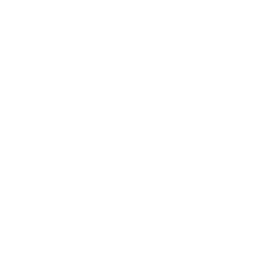 nerdnest-it logo